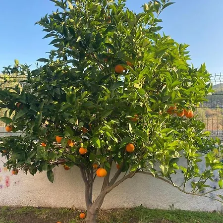Appartamento Elies & Garden *